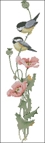 Serenade in Pink