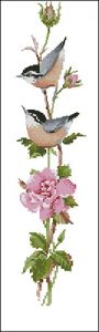 Sonatina Rose
