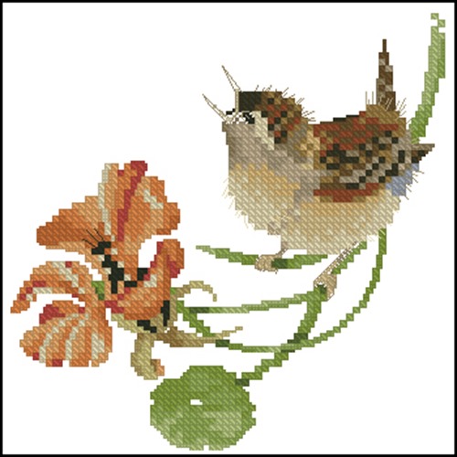 Simply Wren