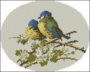Bluetits