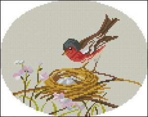 Chaffinch