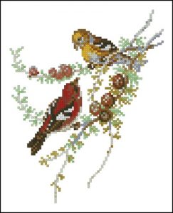 Crossbill