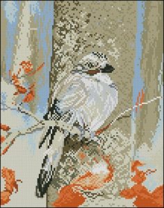 Jays Jays