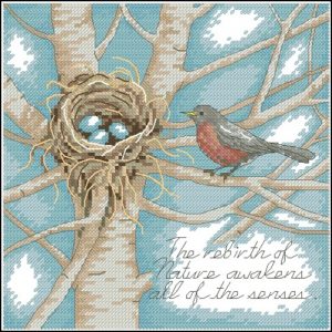 Robin s Nest Robin s Nest