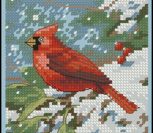 Cardinal in Snow Cardinal in Snow