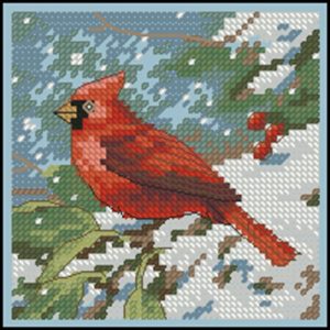 Cardinal in Snow Cardinal in Snow