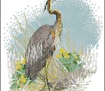 Серая цапля Серая цапля