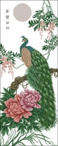 Dignity the Peacock