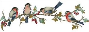 Bullfinches