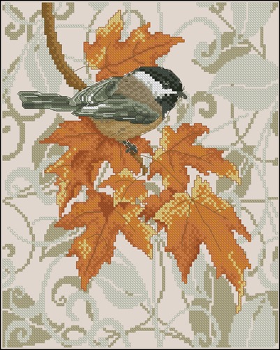 Black-Capped Chickadee