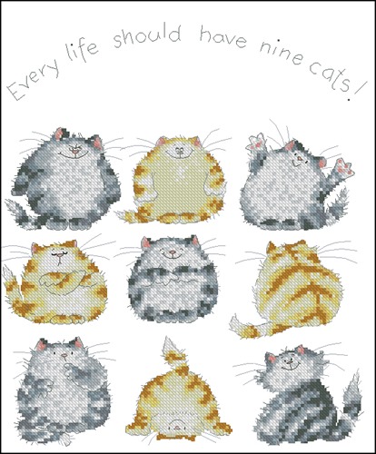 Every Life Should Have Nine Cats