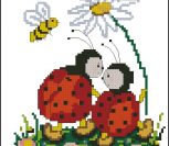 Божьи коровки Божьи коровки