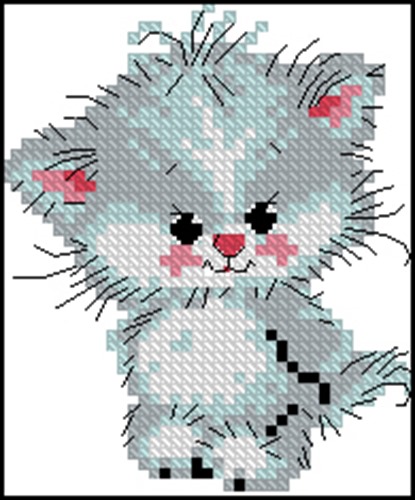 Gray Kitten
