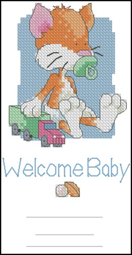 Baby 'Toons - Cat Birth Record