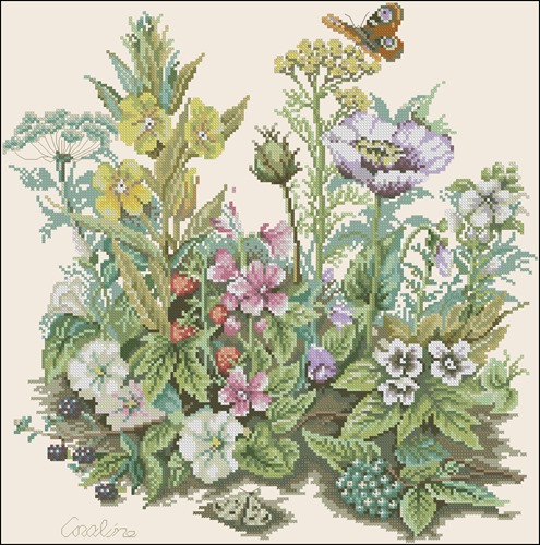 Butterfly Over Meadow Blooms