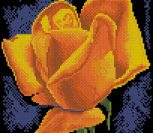 Rose Flower, Yellow Flowers Rose Flower, Yellow Flowers