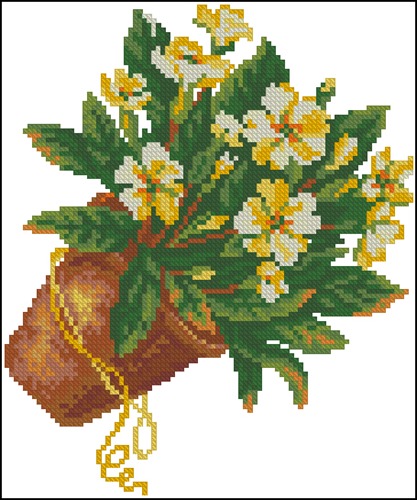 Primrose 4843-5
