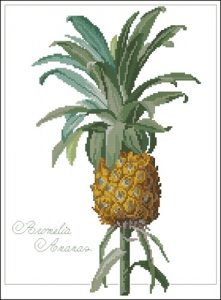 Botanical Ananas (ананас) Botanical Ananas