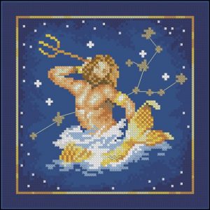 Aquarius (21 Jan - 20 Feb) Aquarius (21 Jan - 20 Feb)