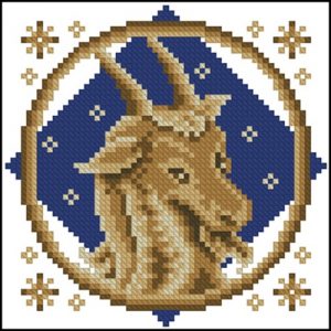 Signs on the Zodiak «Capricorn»