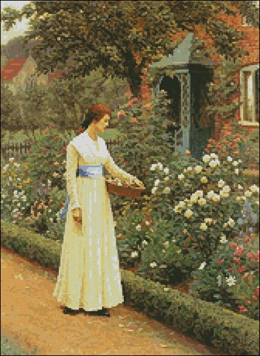 Summer Roses