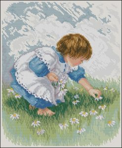 Collecting Daisies Collecting Daisies