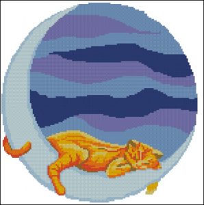 Sleeping kitty