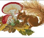 Белочка с грибами Белочка с грибами