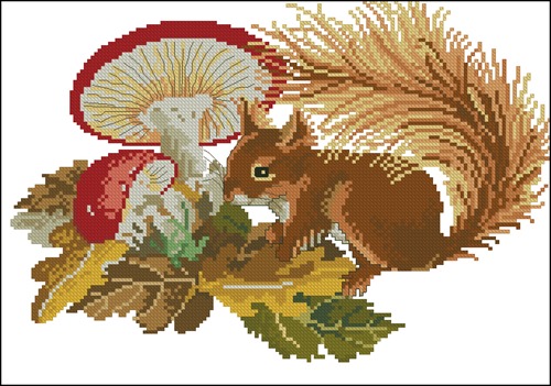 Squirrel with Mushrooms