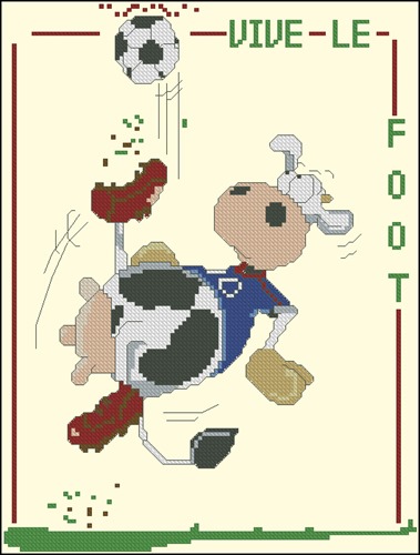 Vive Le foot