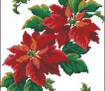 The First Poinsettia The First Poinsettia