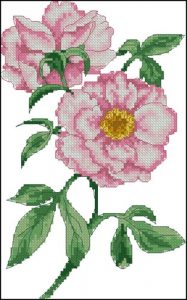 AD167 Peony AD167 Peony