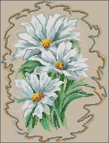 White Daisies