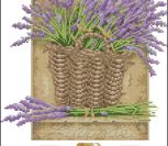 French Lavender French Lavender