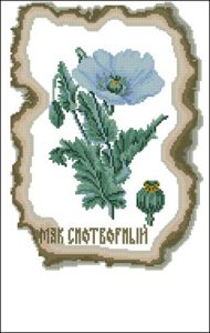 Мак снотворный Мак снотворный