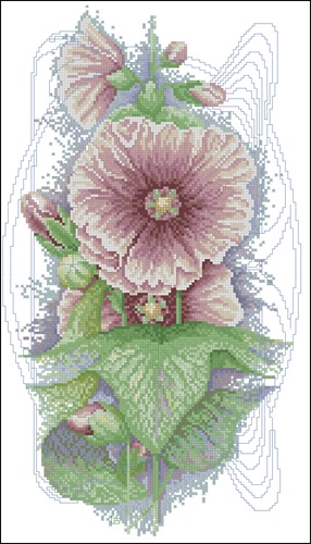 BristlyHollyhock