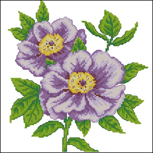 Purple Wild Roses