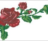 Розы (реконструкция старой схемы) Розы (реконструкция старой схемы)