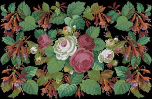Roses and Fuchsia Roses and Fuchsia