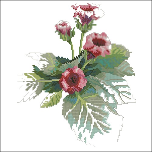Gloxinia