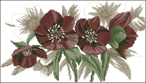 35179 Red Flowers