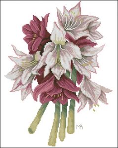 35146 Amaryllis - MB 35146 Amaryllis - MB