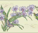 Orchids & Hummingbird Orchids & Hummingbird