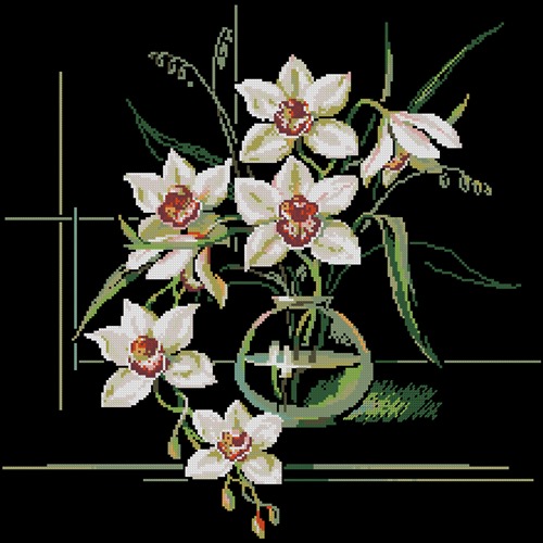 Orchids by Riolis