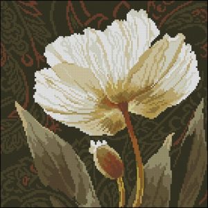 Cream Poppy with Seed Pod Cream Poppy with Seed Pod