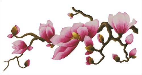 Enchanting Magnolia Branch