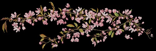 Japanese Blossom