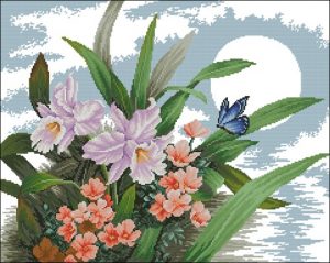 Orchids and Butterfly Orchids and Butterfly