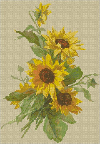 Sunflowers by Gamma