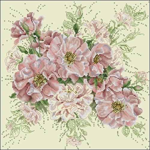 Garden Roses